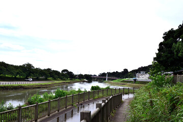 Fototapeta premium 【埼玉県志木市】新河岸川河川敷 いろは親水公園