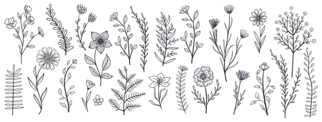 Fototapeta premium Set collection plants flowers and leaves hand drawn vector. Drawing beautiful creeper leaves, decorative set with flowers and leafs