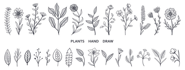 Set collection plants flowers and leaves hand drawn vector. Drawing beautiful creeper leaves, decorative set with flowers and leafs