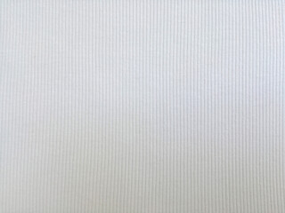 white paper or canvas texture background.