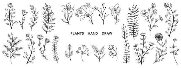 Fototapeta na wymiar Set collection plants flowers and leaves hand drawn vector. Drawing beautiful creeper leaves, decorative set with flowers and leafs