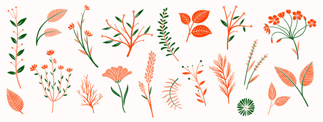 set collection plants flowers and leaves - hand draw vector. Drawing beautiful plants, and decorative set with colours