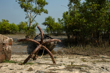 A fishing boat anchored on the bank of river Matla with mangrove in background.