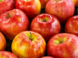 秋から冬の果物　赤い完熟リンゴ