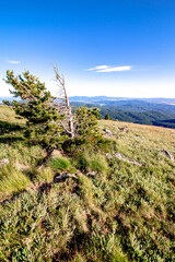 Fototapeta na wymiar Beautiful scenic nature views at spokane mountain in washington state