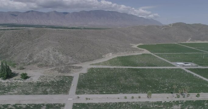 Un vino tinto formidable. Las uvas de la regi&oacute;n reflejan una excelente maduraci&oacute;n, color, aroma y sabor del vino, una fiesta al paladar