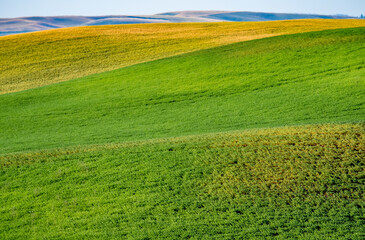 Obraz premium landscape scenes in palouse washington