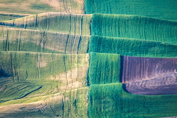 landscape scenes in palouse washington