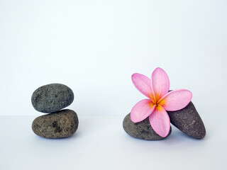 Fototapeta na wymiar Asians flowers with river stone isolated on white background