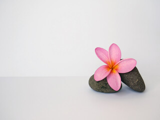 Asians flowers with river stone isolated on white background