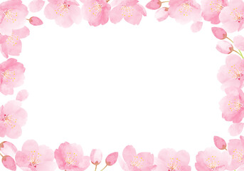 Fototapeta na wymiar 水彩の桜の花のベクターイラストフレーム背景