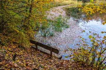 Monticolo lake in Autumn season - Appiano, Bolzano province, Trentino Alto-Adige, Italy, Europe -