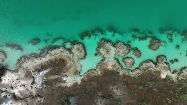 Aerial view above stromatolites in turquoise water, at the Laguna Bacalar in Mexico - cenital, drone shot