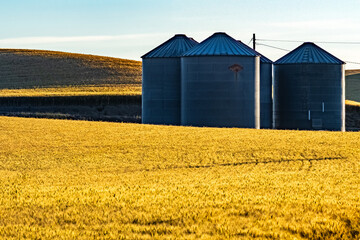 landscape scenes in palouse washington