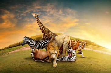 Group of many African animals giraffe, lion, tiger, zebra and others stand together in nature backdrop with mountains. Composite of a large group of wildlife zoo animals together.