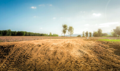 Empty dry cracked swamp reclamation soil, land plot for housing construction project with car tire print in rural area and beautiful blue sky with fresh air Land for sales landscape concept. - obrazy, fototapety, plakaty