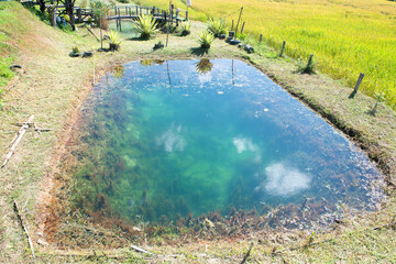 Magic lake near Mae Hong Son , Thailand