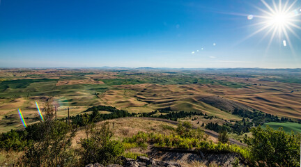 Fototapeta premium nature scenes around steptoe butte park and farmlands