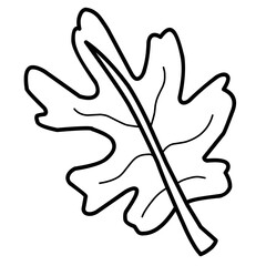 Vector Leaf Sketch