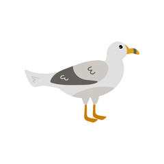 Cute comic gull, Atlantic bird standing over white background. Seagull cartoon character flat vector illustration. Nature, animals, wildlife concept