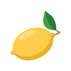 Lemon vector illustration. Drawing of lemon. Summer holiday, decoration, nature, paradise, food concept for greeting card