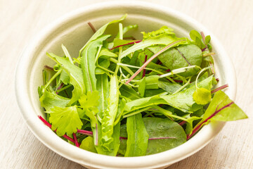 fresh green salad