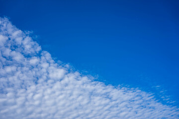 青空にうろこ雲