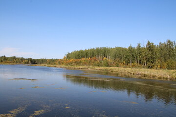 lake in the woods, Elk Island National Park, Alberta