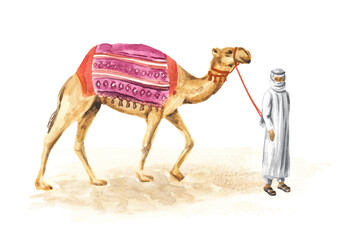 Camel in the desert, with a Bedouin driver. Hand drawn watercolor illustration isolated on white background