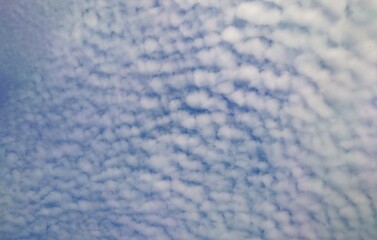 青空を覆い隠すほど浮かぶひつじ雲