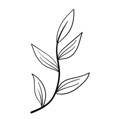 botanical line icon