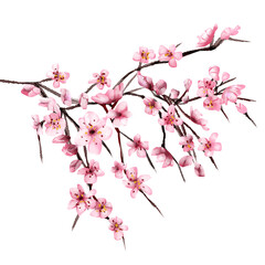 chinese new year element 2023 paint illustration chinese water color style cherry blossom PNG file