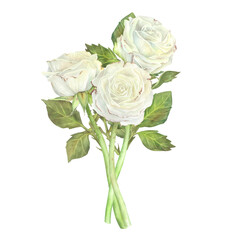 Bouquet of white roses. Watercolor illustration.Isolated on a white background.For design of sticker, greeting card, stationery, cosmetics, wedding invitation, packaging of cosmetics, perfume,candles