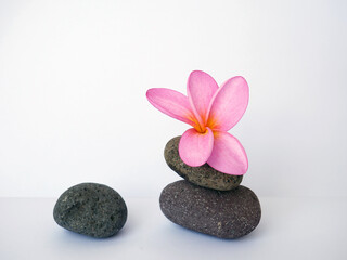 Fototapeta na wymiar Pebbles with Bali flower. Template for spa salon, cosmetic, massage advertising