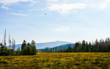 Landscape on the Torfhausmoor in the Harz National Park with a view of the Brocken. Nature at the rain bog near Torfhaus.
