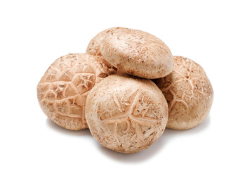 Shiitake mushrooms on white background close-up.