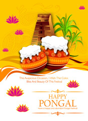 South Indian Festival Pongal Background Template Design Vector Illustration Happy Pongal Holiday Harvest Festival of Tamil Nadu  - 556912444