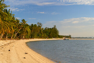 Incredible sandy beach on the ocean. With palm trees and no people. Sunset photo
