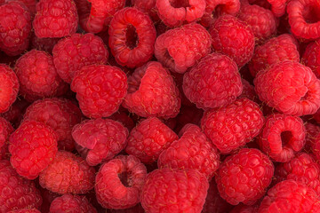 close up of fresh raspberries 