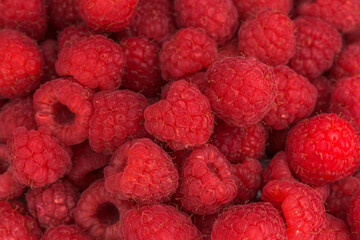 close up of ripe raspberries