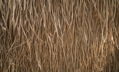 Close up of hay straw dry grass surface in rural countryside. Nature pattern texture background.