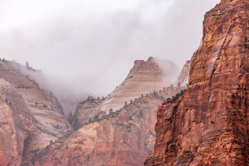 Mystic view of Zion red rocks