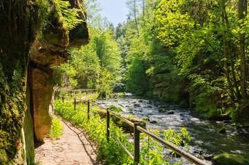 sunny pathway with handrail next to sandstone rock and river Wesenitz with in spring in Liebethaler...