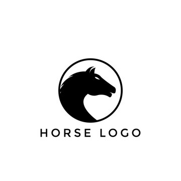 Horse head logo design and circle frame, horse emblem vector icon