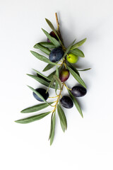 olives and olive branches on a white background.