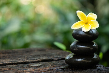 Yellow plumeria flower and zen stone on nature background.