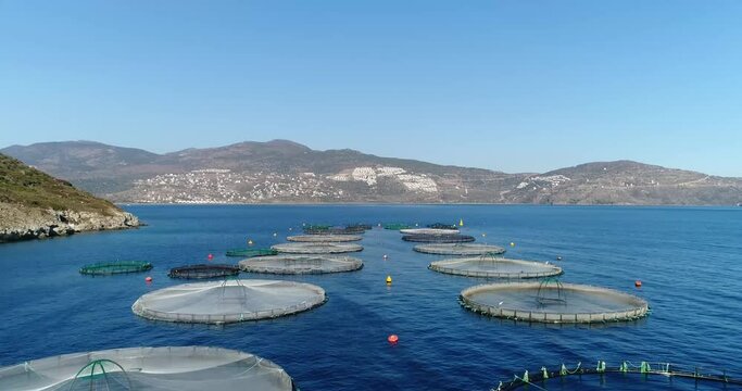 Sea fish farm. Cages for fish farming dorado and seabass.