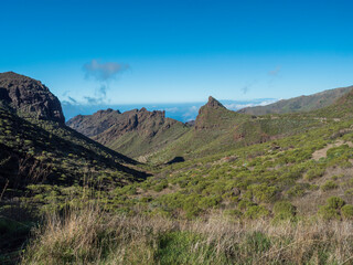 Fototapeta na wymiar Dramatic lush green picturesque valley. Landscape with sharp rock formation, hills and cliffs seen from mountain road towards Masca village. Tenerife, Canary Islands, Spain. sunny winter day, blue sky