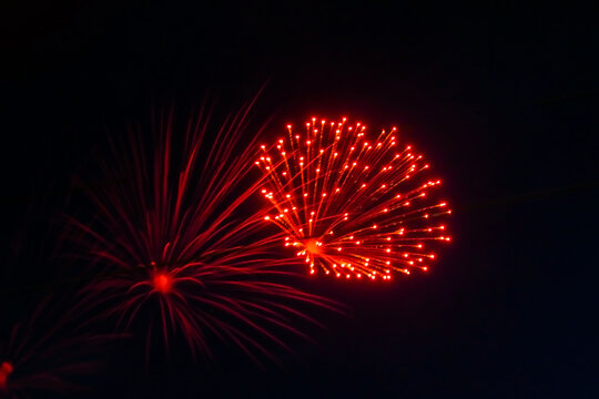 Bright, beautiful red fireworks in the night sky.