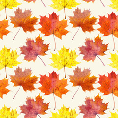 Naklejka na ściany i meble Seamless pattern of hand-drawn watercolour maple leaves on a beige background. Autumn Illustration for fabric, sketchbook, wallpaper, wrapping paper.